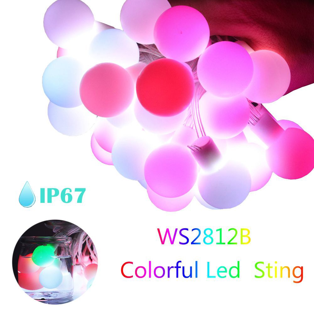 WS2812b LED Round Ball String  - Decor Lighting Address บทวิจารณ์และราคา