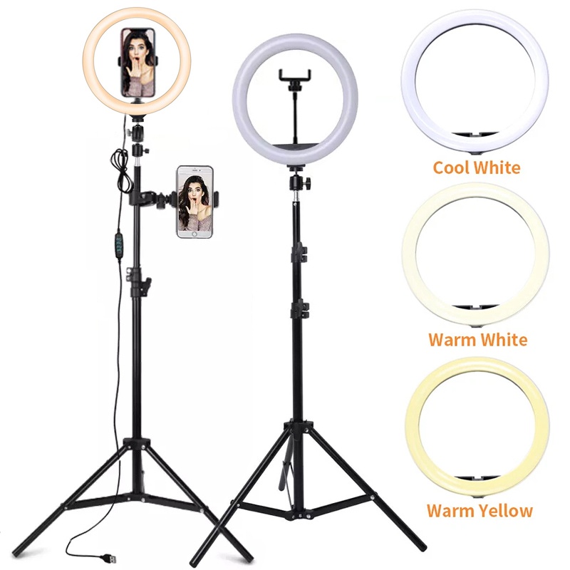 ไฟวงแหวน LED ขนาด 6/10/12 นิ้ว - Lighting Gallery บทวิจารณ์และราคา
